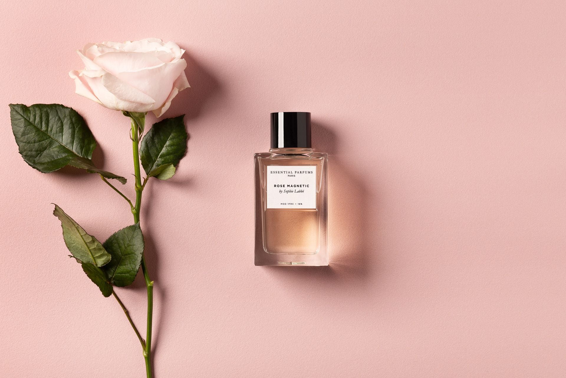 Rose Magnetic - Eau de Parfum Spray 10 ML – Essential Parfums